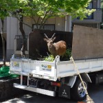 カメラ目線-2